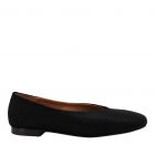 Belang instapper 08357 - Pelo Negro