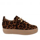 Paul Green sneaker 5317-026