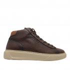 Ambitious sneaker 13019-7129-Brown