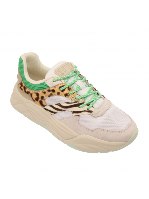 Scotch & Soda Sneaker 26733012-S755