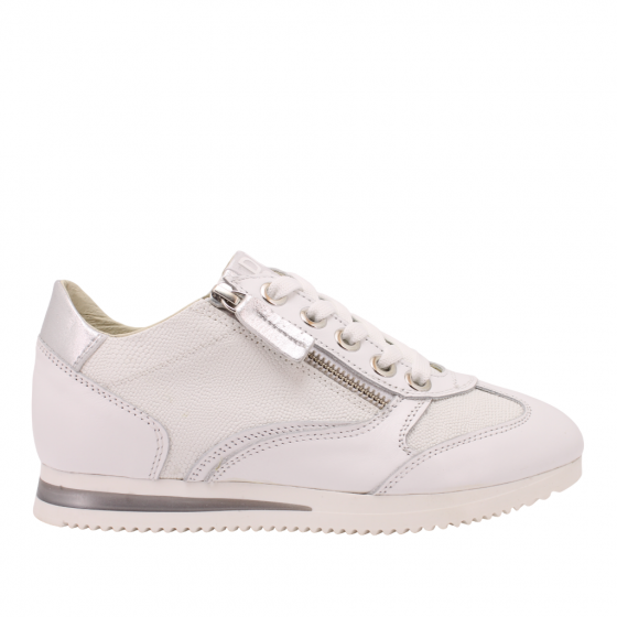 DLS sneaker 5670-Vitello Bianco