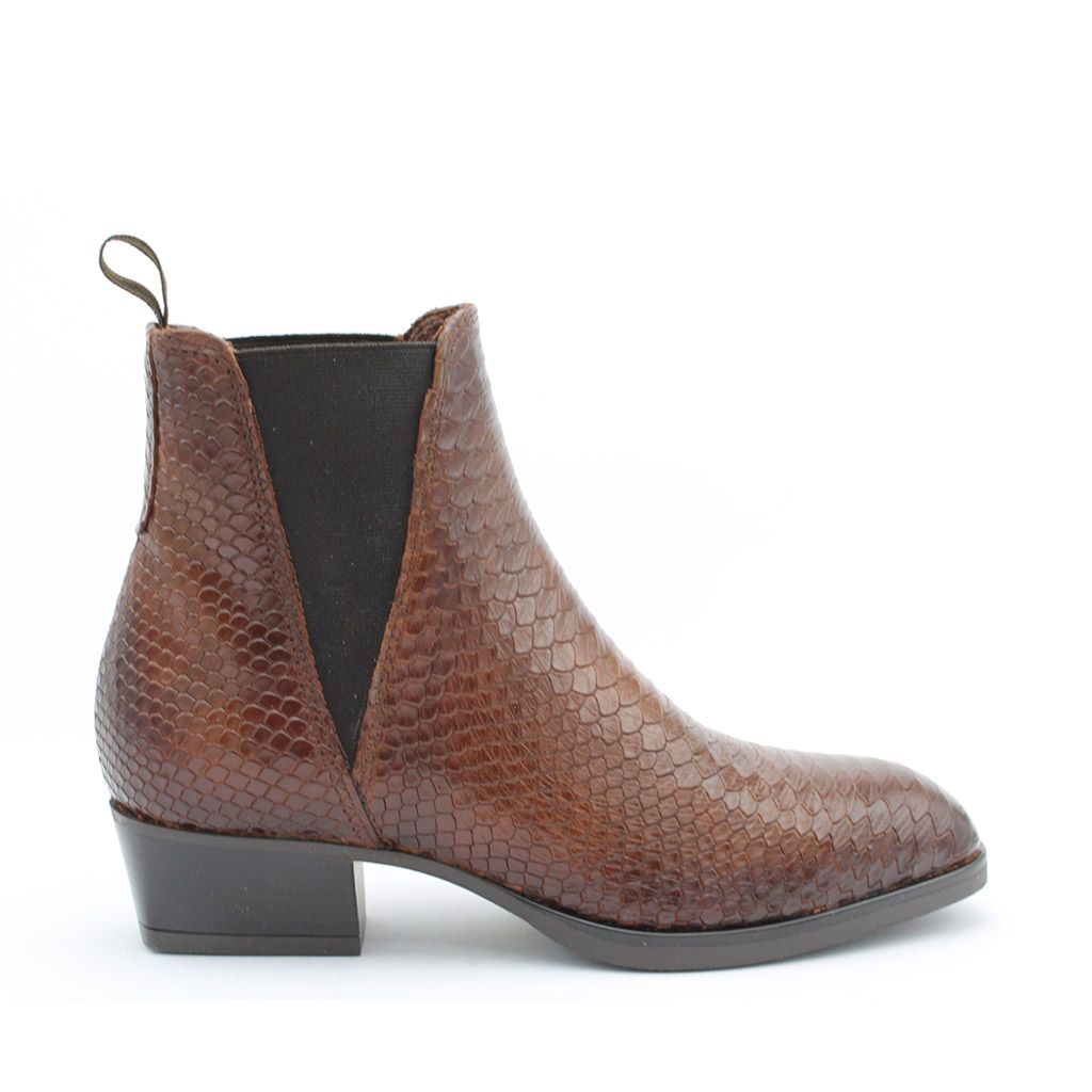 Marnelli enkellaars 2-Venus-202-Scotch-8 2-Venus-202-Scotch-8 Bruin