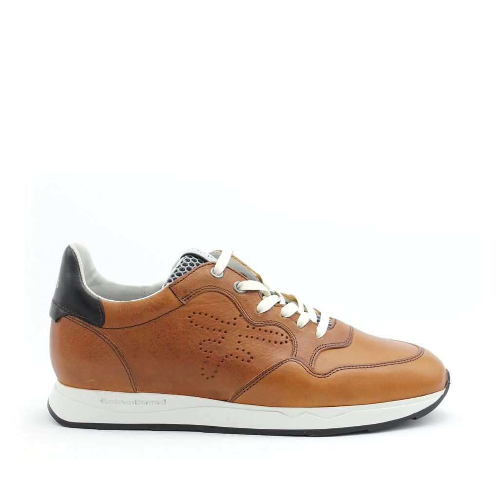 Landgoed balkon blijven Floris van Bommel sneaker 16446/00 16446/00 Cognac