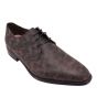 Floris van Bommel De Netter 19.00 30328-80-01