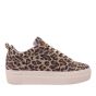 Red Rag sneaker 74402-059 Leopard