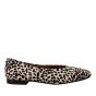 Belang instapper 08357- Pelo Dalmata