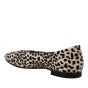 Belang instapper 08357- Pelo Dalmata